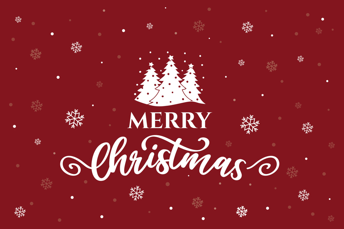 MATE DE VIAJE Y CAMPING VISCO LOVE PROCOMF / BEBÉ / NIÑOS / ADOLESCENTES / ESTUCHE DE ALMOHADA PARA ADULTOS - PAQUETE DE 4 (PAQUETE JOY)